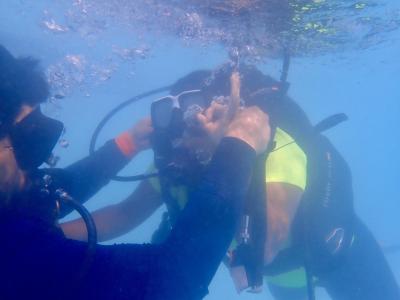 4 (1) (1) (1) (1) (1) (1) (1) (1) (1) (1) (1) (1)